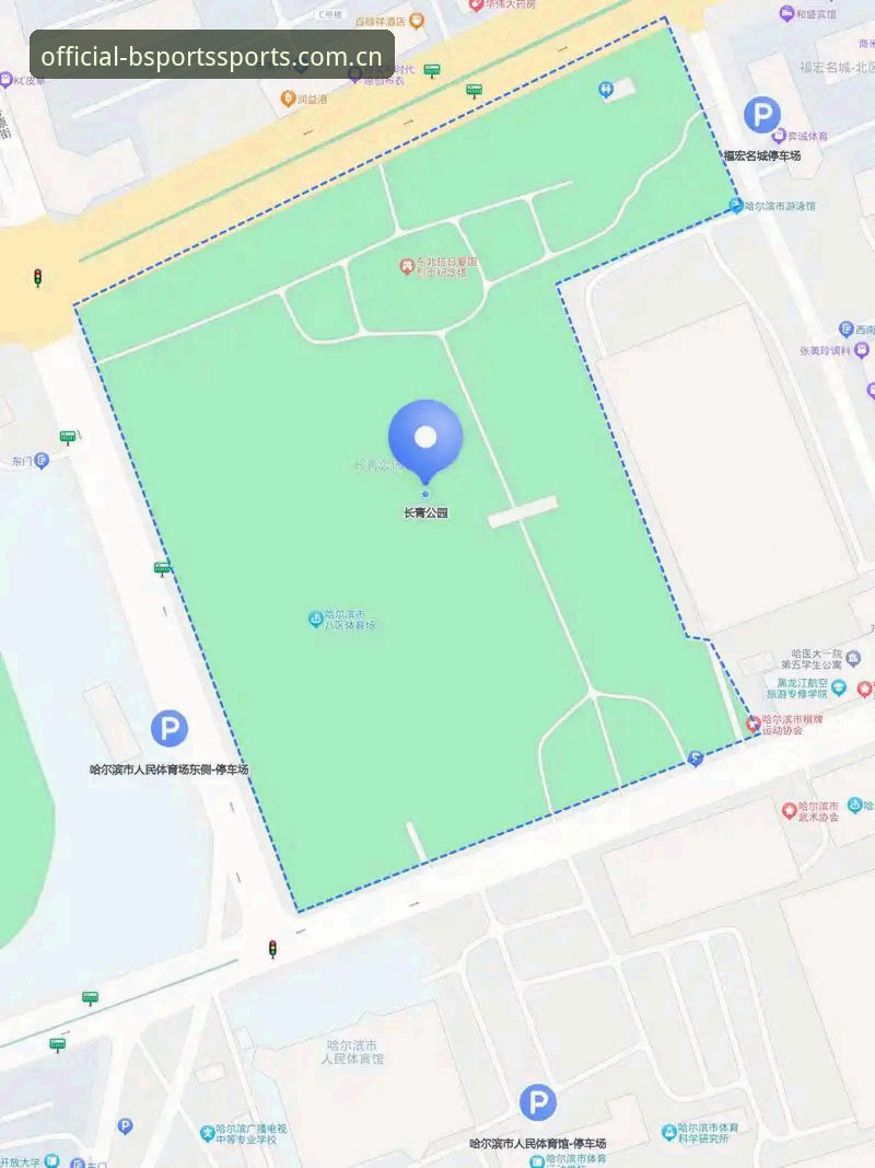 B体育平台登录注册完整指南：从下载到投注的实用经验分享